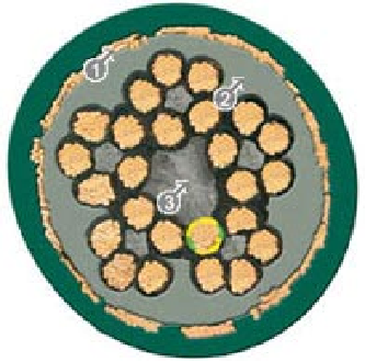 1650445343943376.png image.png